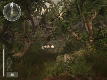 The greenery is effective at creating that jungle feeling
