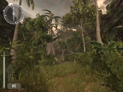 More green stuff...