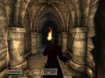 Oblivion performance and FPS tweaks and tips