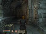 Elder Scrolls Oblivion review