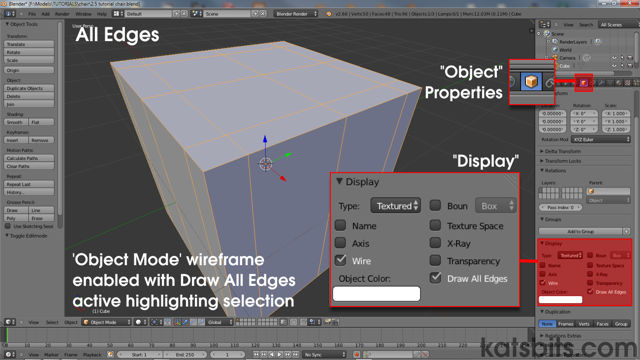 'Wire' highlighting shown in OBJECT mode with Draw All Edges enabled