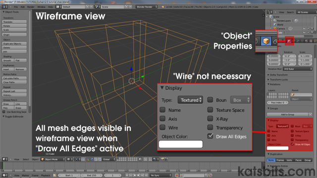 Wireframe shown in OBJECT mode with Draw All Edges enabled