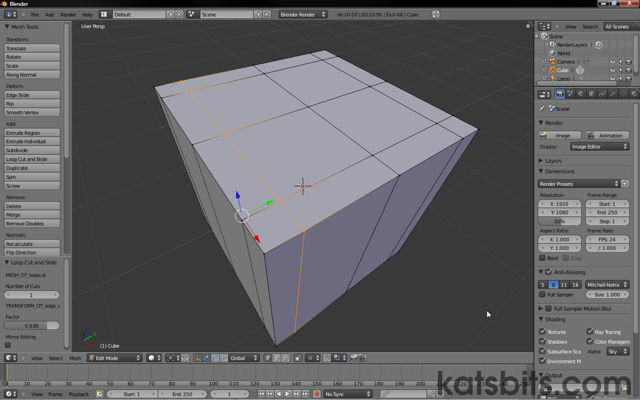 Adding extra loop cuts to the mesh in Blender