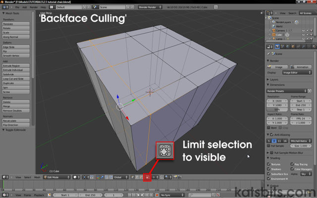 Turning on Backface Culling and Limiting selected to visible