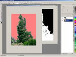 Making an alpha mask from a photo of a tree