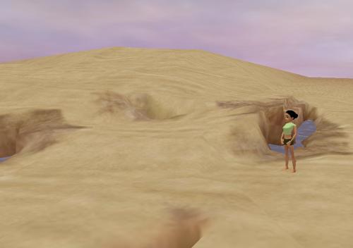 Desert Dawn, Desert Dusk