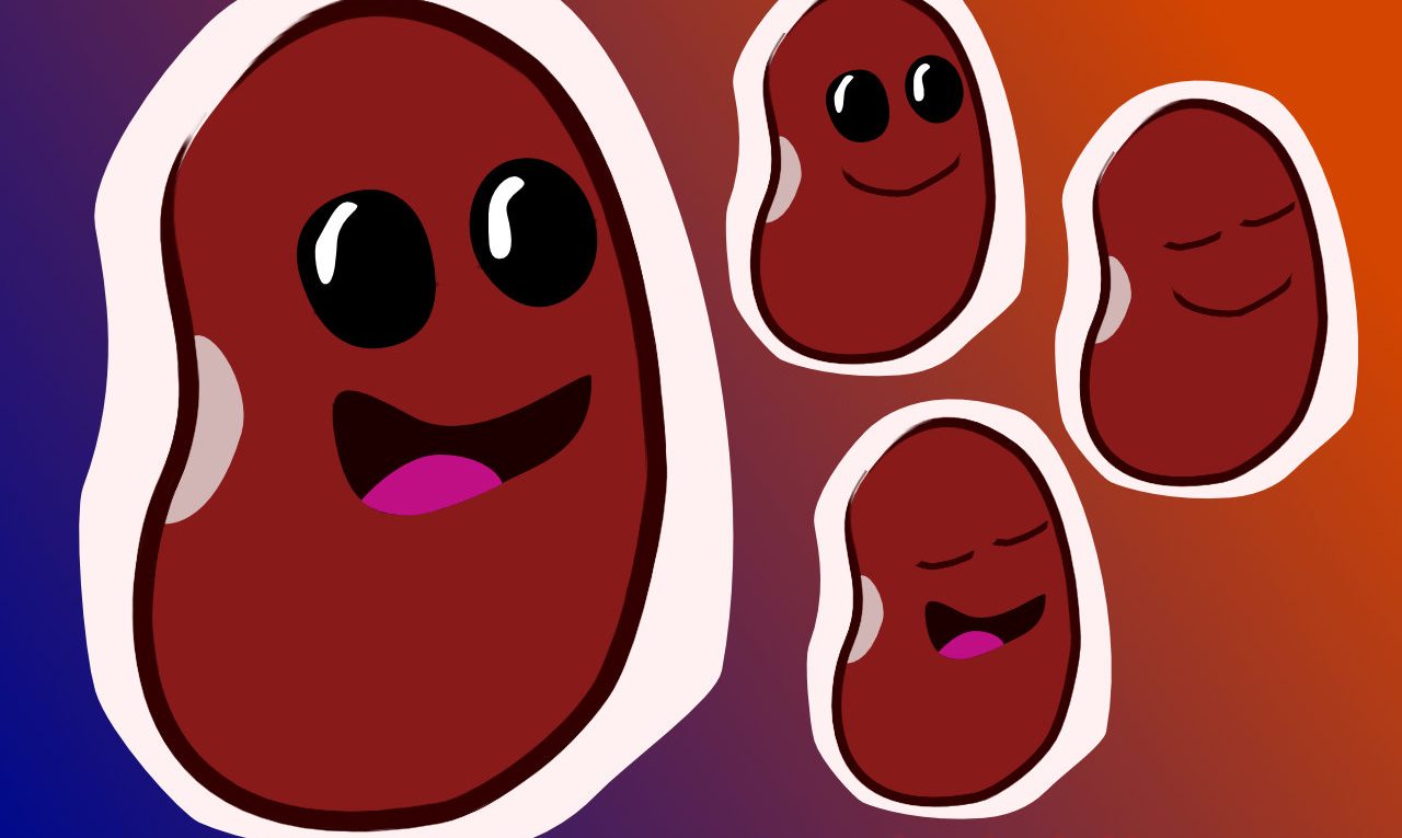 PNGTuber Character Sheet drawn in Affinity Designer