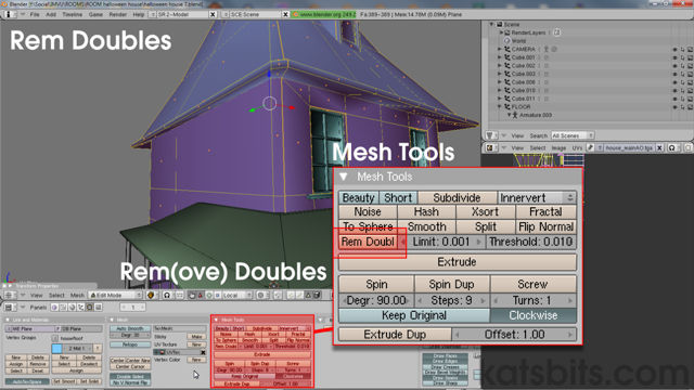 Rem Doubles in Blender 2.49