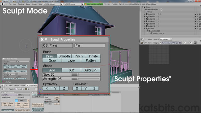 Sculpt tools and options shown in Blender 2.49