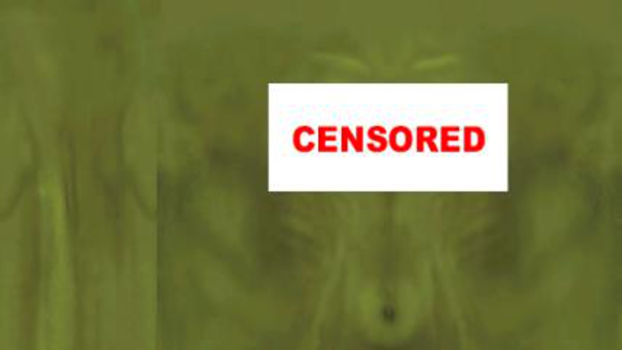Oblivion Censored (Naked) Skin Controversy [NSFW]