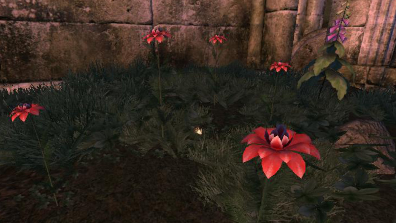 Elder Scroll: Oblivion unusual quests, locations & items