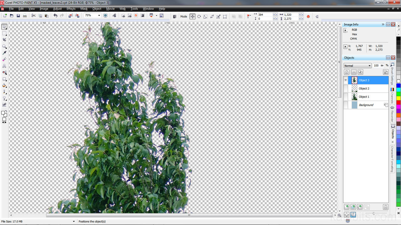 Make a Leaf Alpha Mask From A Photograph
